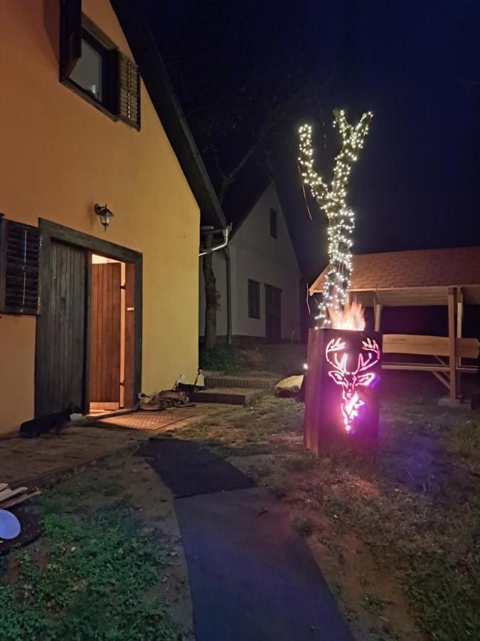 Macskajaj Vendeghaz Villa Mecseknadasd ภายนอก รูปภาพ