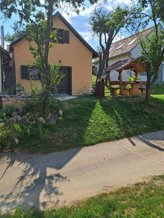 Macskajaj Vendeghaz Villa Mecseknadasd ภายนอก รูปภาพ