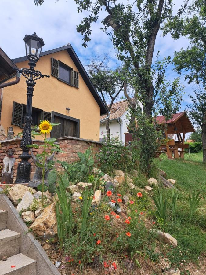 Macskajaj Vendeghaz Villa Mecseknadasd ภายนอก รูปภาพ