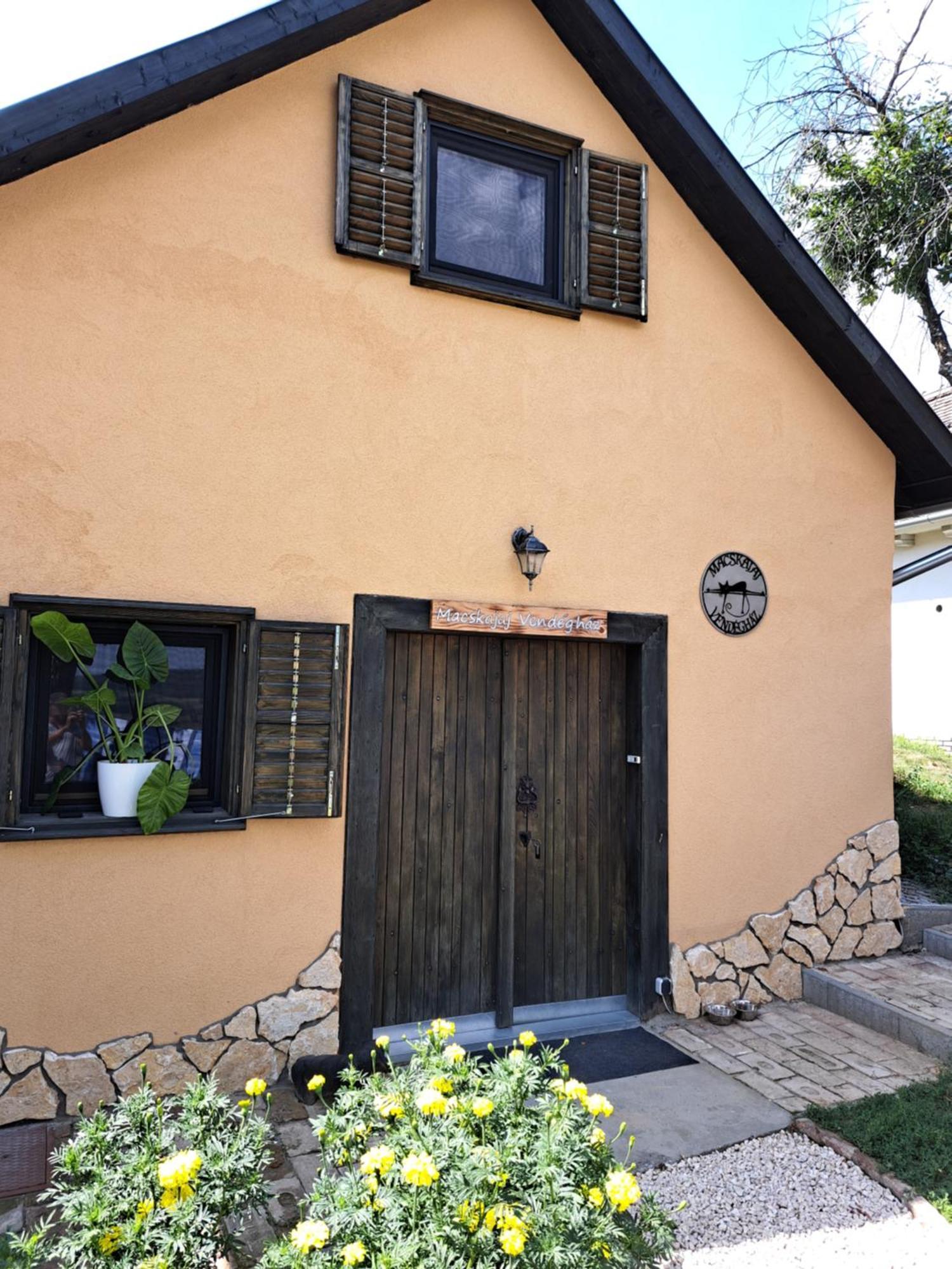 Macskajaj Vendeghaz Villa Mecseknadasd ภายนอก รูปภาพ